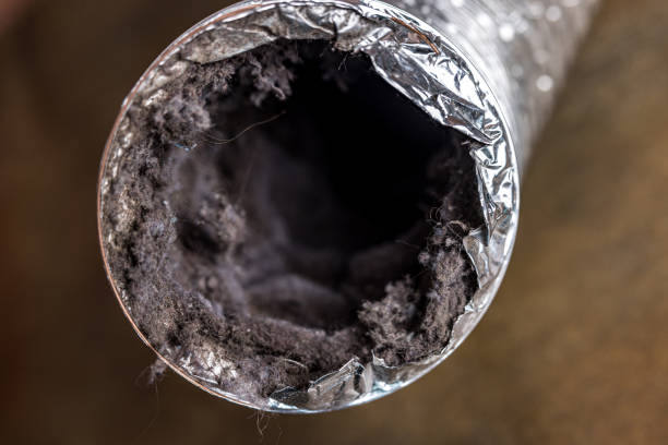 Best HVAC Maintenance and Cleaning  in Arlington, NY